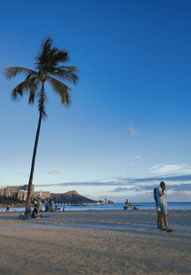 Coconut tree and Diamond Head from Hilton Lagoon